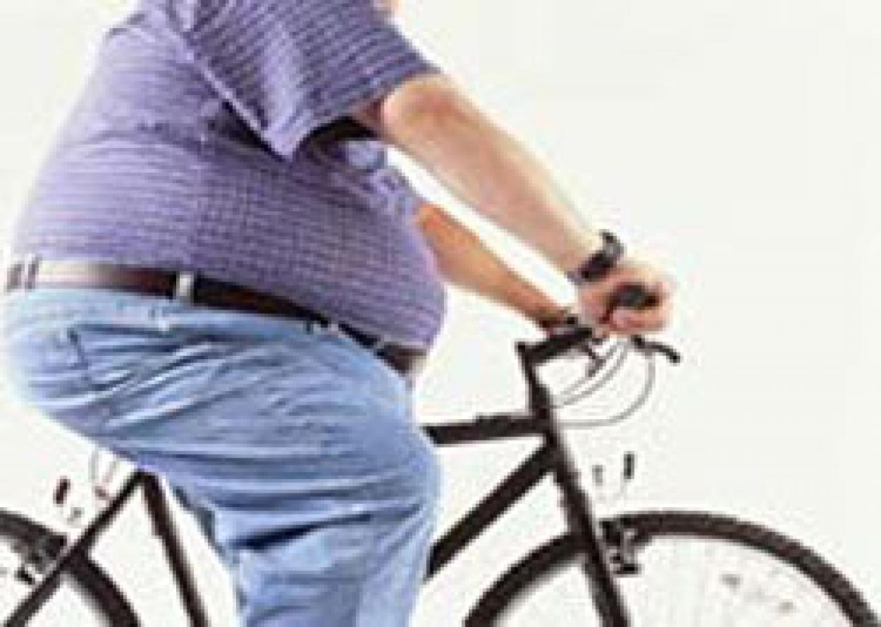 Fat person hot sale bike seat